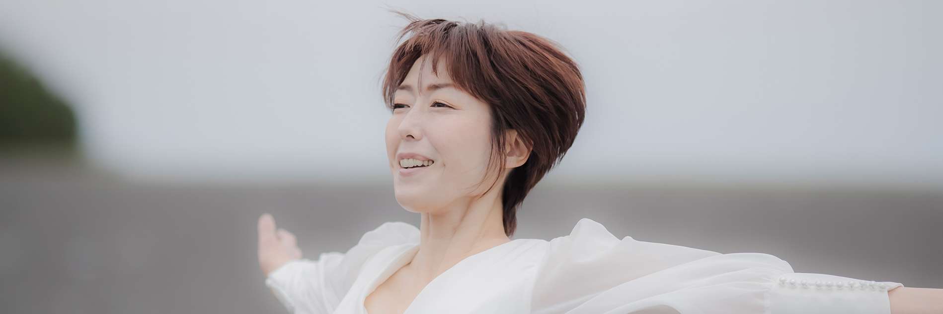 ADVENT KRANZ株式会社