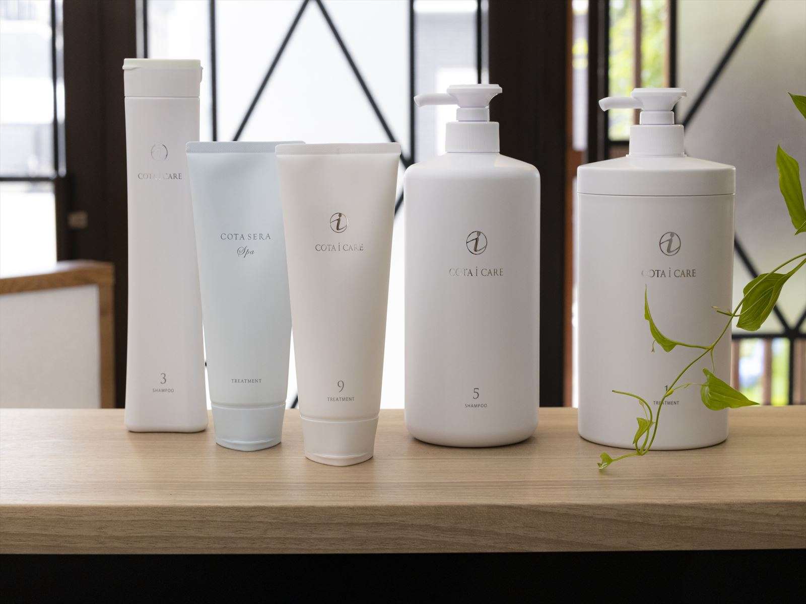 スタートアップキャンペーン