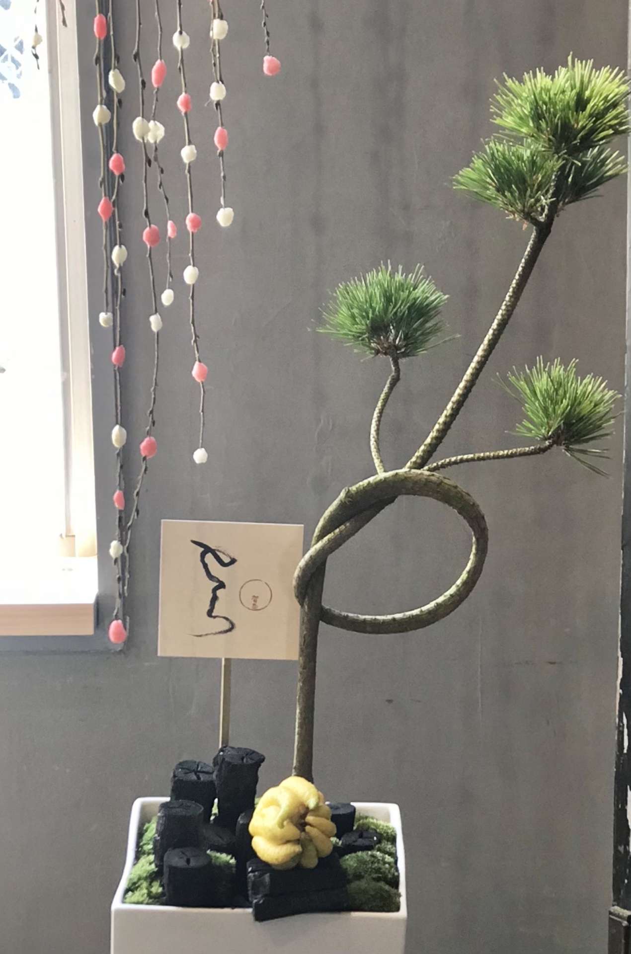 明けましておめでとうございます