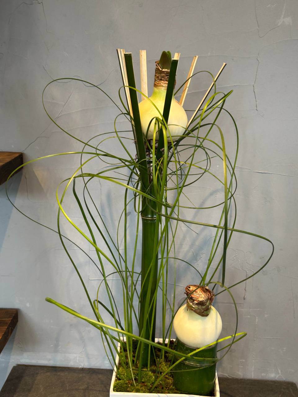 1月　真竹とマジックアマリリスのアレンジメント