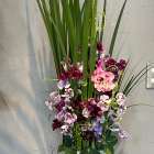 2月　オクラレウカとスイトピーのアレンジメント