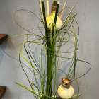 1月　真竹とマジックアマリリスのアレンジメント