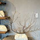 3月　桜の投げ入れ